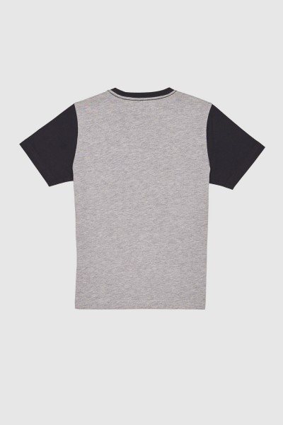 T-shirt z wilkiem T-shirt z wilkiem